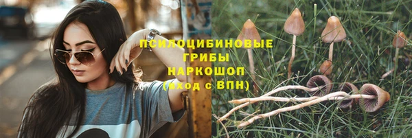 амф Абдулино