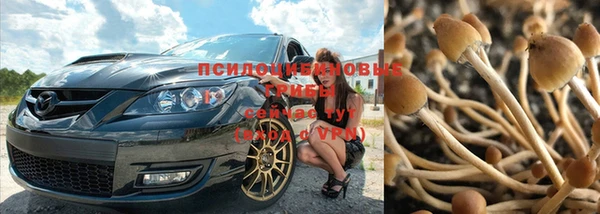 дмт Рославль