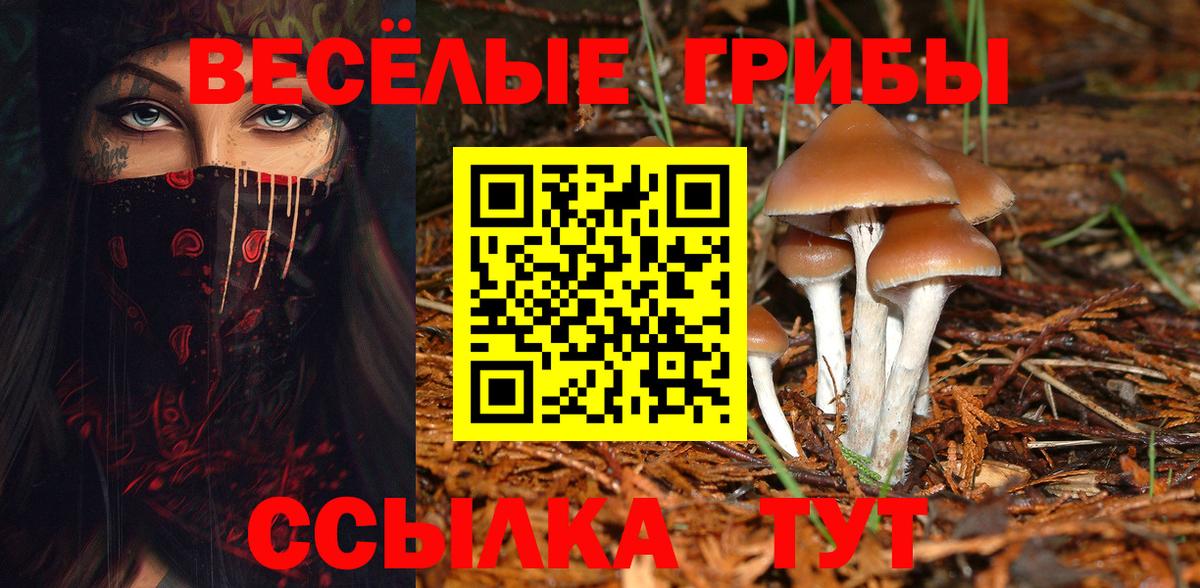 Алейск  Галлюциногенные грибы Psilocybe  купить наркоту  Вход с VPN  Псилоцибиновые грибы Cubensis 
